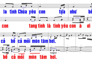 thanh ca trinh chieu ppt
